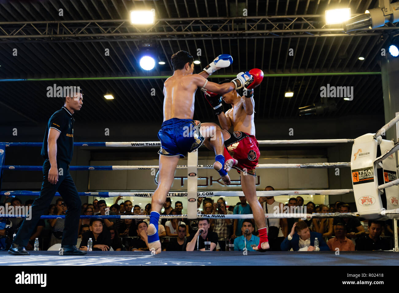 NOCHE DE KICK BOXING, 🚨YA EMPEZÓ🚨 Sigue con nosotros las peleas de Kick  boxing y Muay Thai #peleas #kickboxing #muaythai, By InternetvDeportes