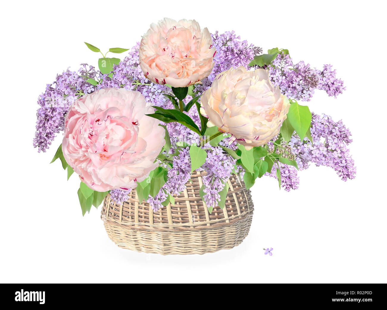 Suave romántico ramo de flores de color lila y rosa claro con tono cremoso peonías en cesta de mimbre, de cerca, aislado en un fondo blanco - festivos Foto de stock