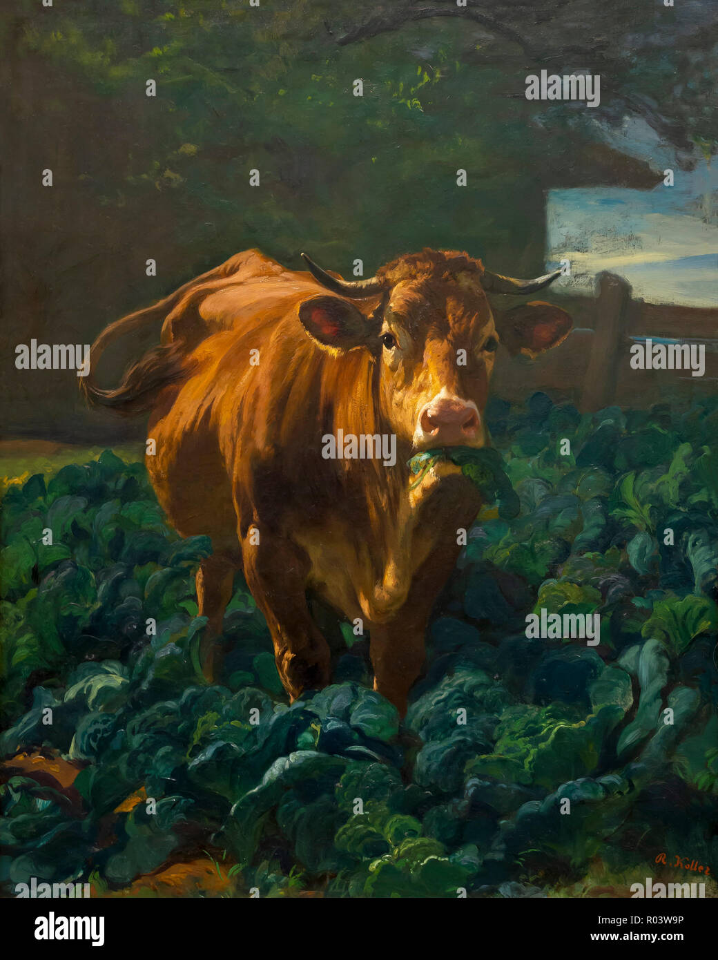 Vaca en un campo de coles, Rudolf Koller, 1857-1858, Kunsthaus de Zurich,  Zurich, Suiza, Europa Fotografía de stock - Alamy