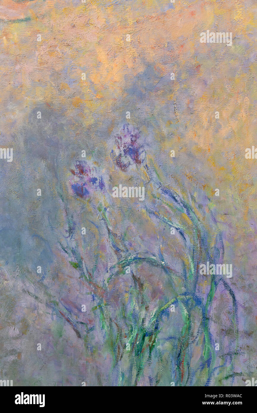 Detalle del estanque de nenúfares con lirios, Claude Monet, 1914-1922, Kunsthaus de Zurich, Zurich, Suiza, Europa Foto de stock