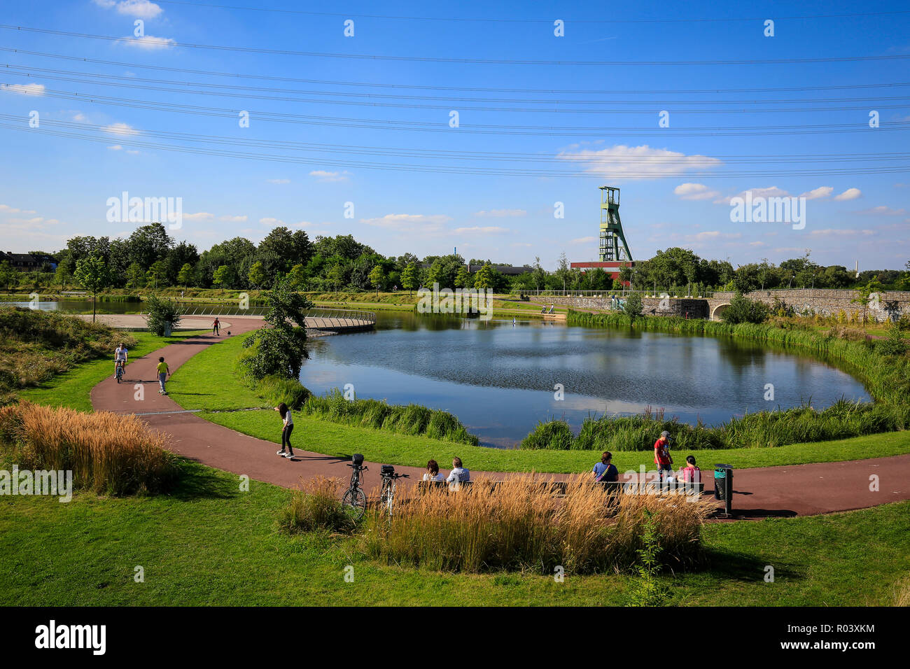 Essen, área de Ruhr, Alemania, Krupp-Park, Lago, proyecto de desarrollo urbano Krupp-Guertel Foto de stock