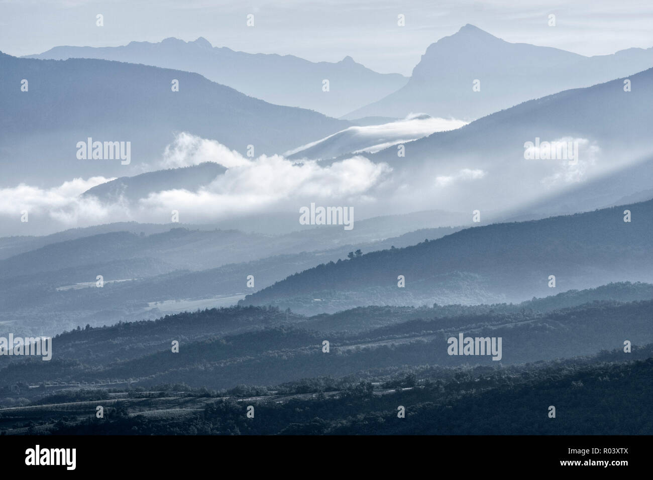 Amanecer sobre Vallee de l'Asse y Alpes-de-Haute-Provence de Plateau de Valensole, Provenza, Francia Foto de stock