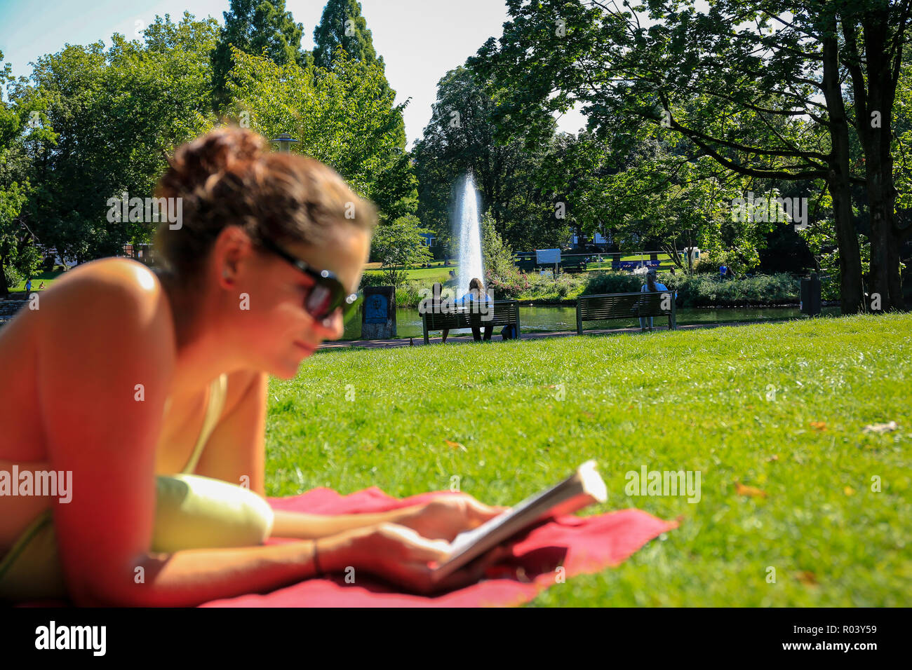 Essen, Alemania, área de Ruhr, ciudad jardín, joven yace en la pradera y lee en un libro Foto de stock