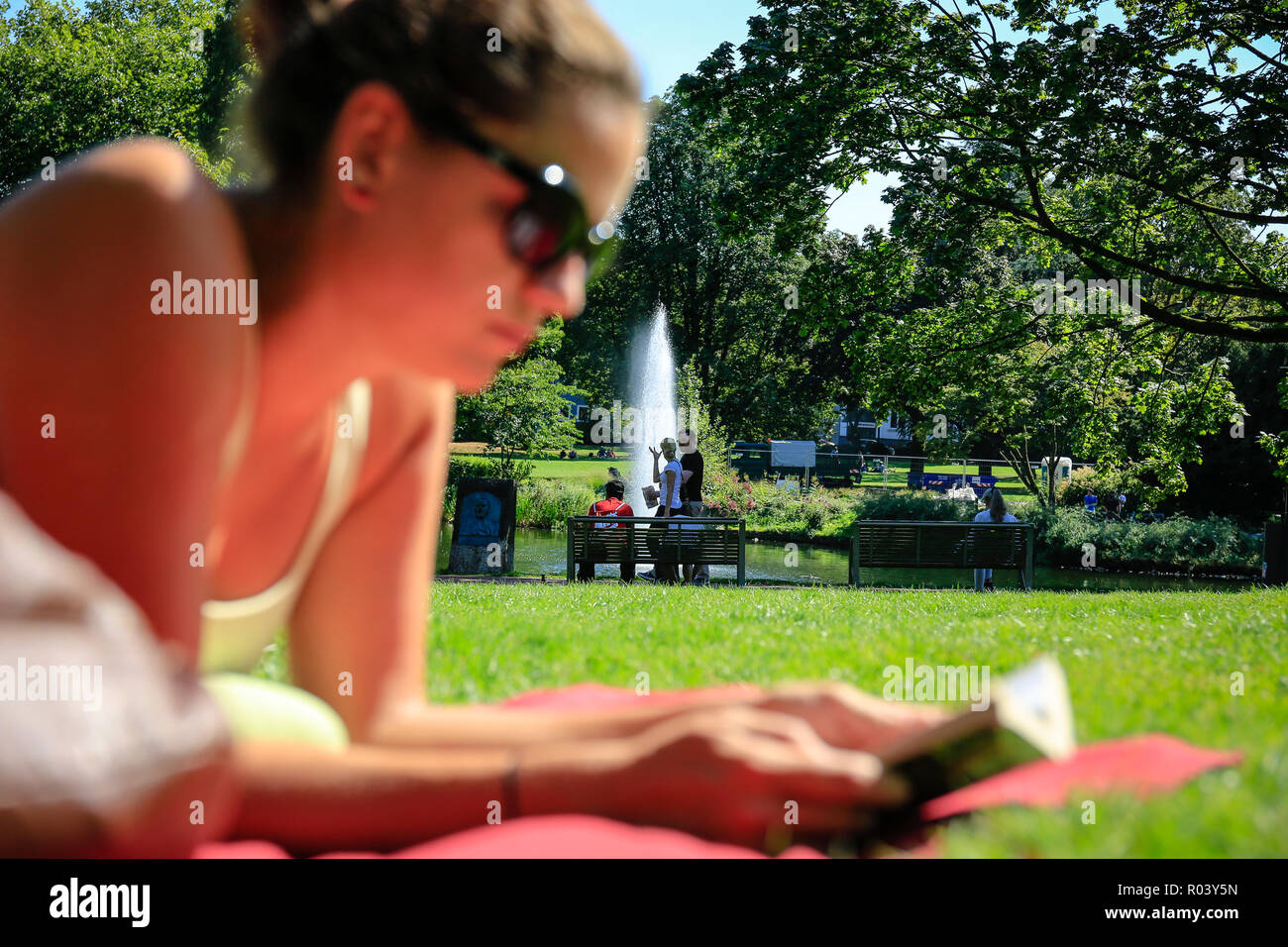 Essen, Alemania, área de Ruhr, ciudad jardín, joven yace en la pradera y lee en un libro Foto de stock