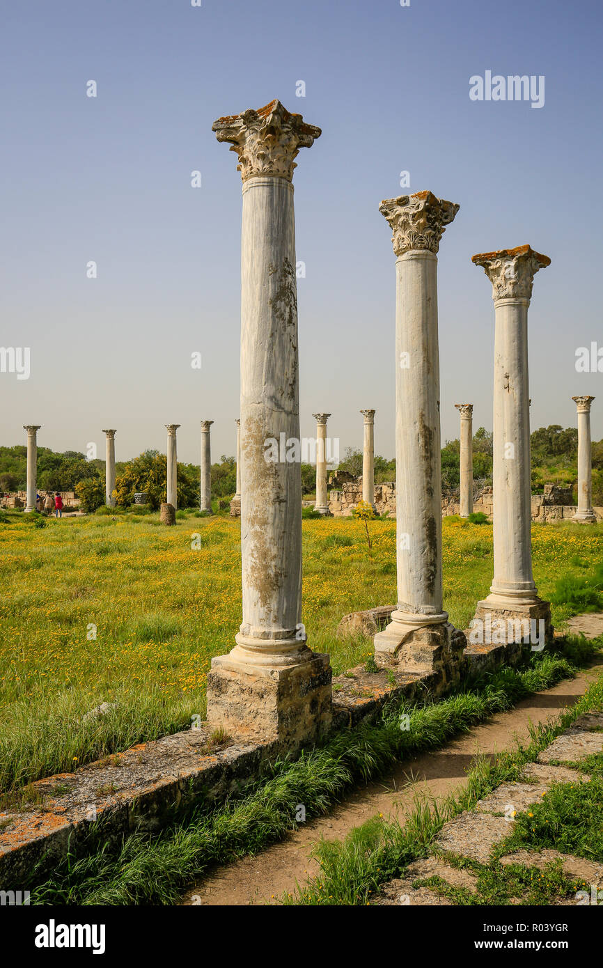Famagusta, República turca del norte de Chipre, Chipre - Salamis, sitio arqueológico de excavación Foto de stock