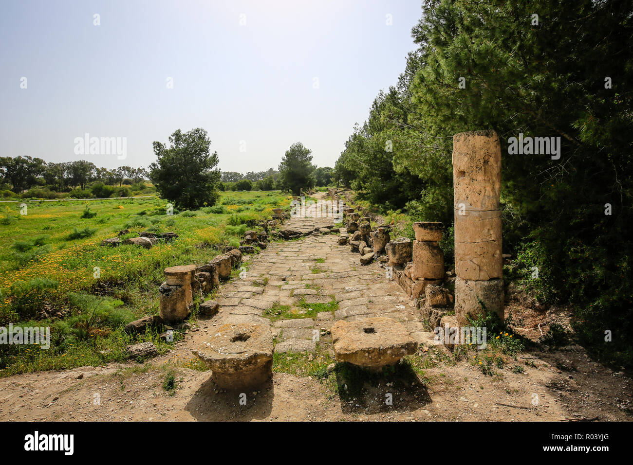 Famagusta, República turca del norte de Chipre, Chipre - Salamis, sitio arqueológico de excavación Foto de stock
