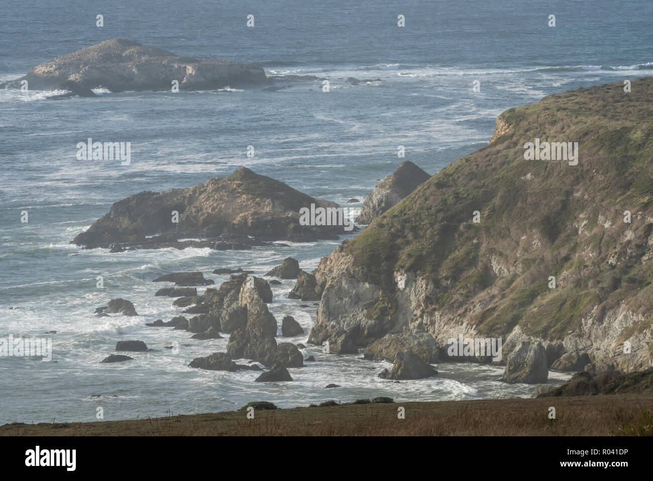 La hermosa costa robusta en pt. Reyes National Seashore en California. Foto de stock