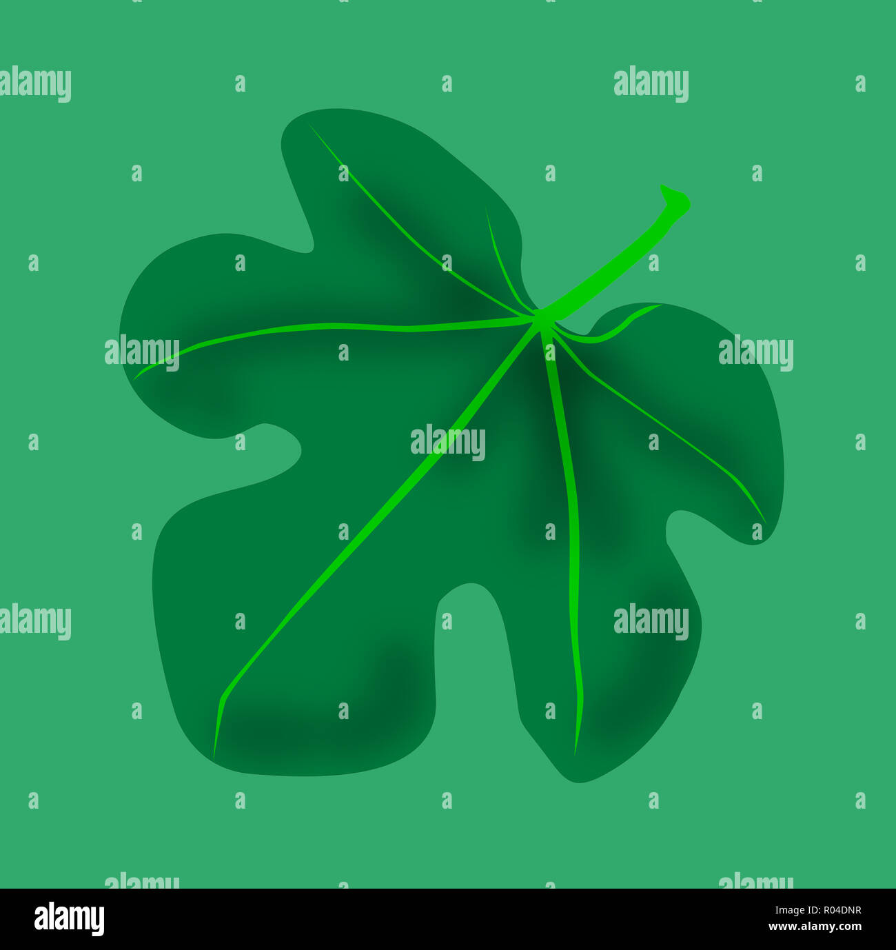 Una típica hoja de parra como se menciona en el antiguo testamento de