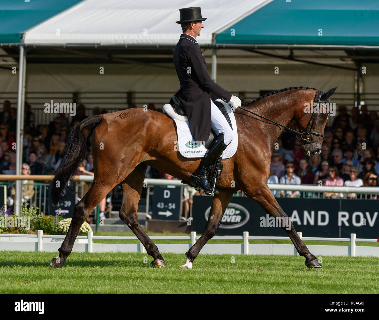 Mark Todd y NZB CAMPINO durante la fase de doma de los caballos de Burghley Land Rover ensayos, 2018 Foto de stock