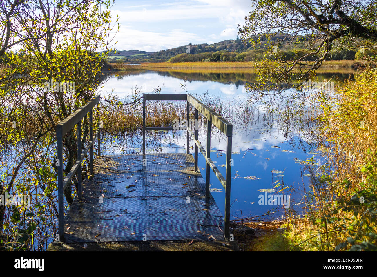 Lissard lago sobre una superficie plana calma día reflejando los colores del otoño o los colores en la superficie del agua. West Cork Ireland Foto de stock