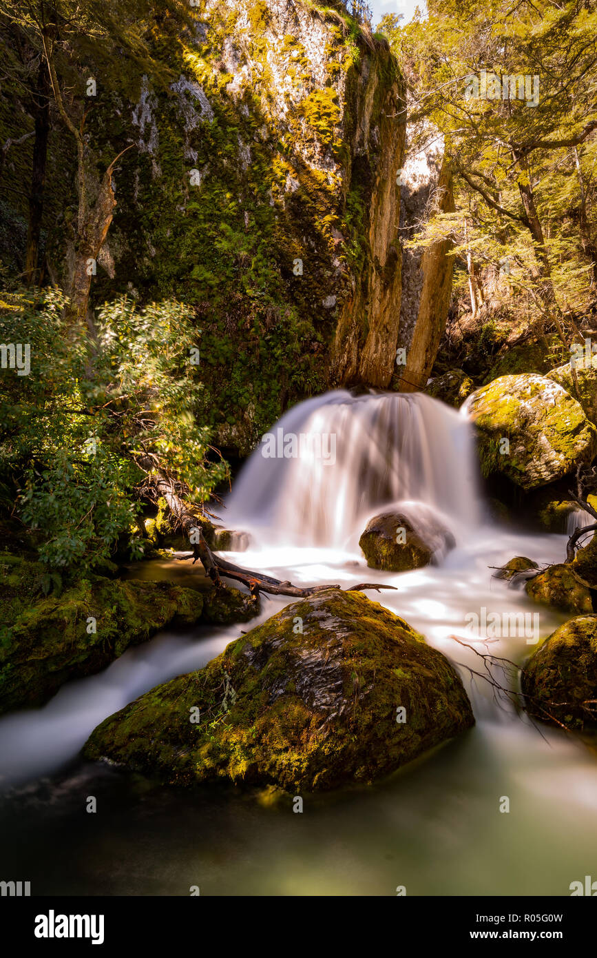 Cascada Arroyo del Valle de Wye en primavera, Queenstown, Nueva Zelanda Foto de stock