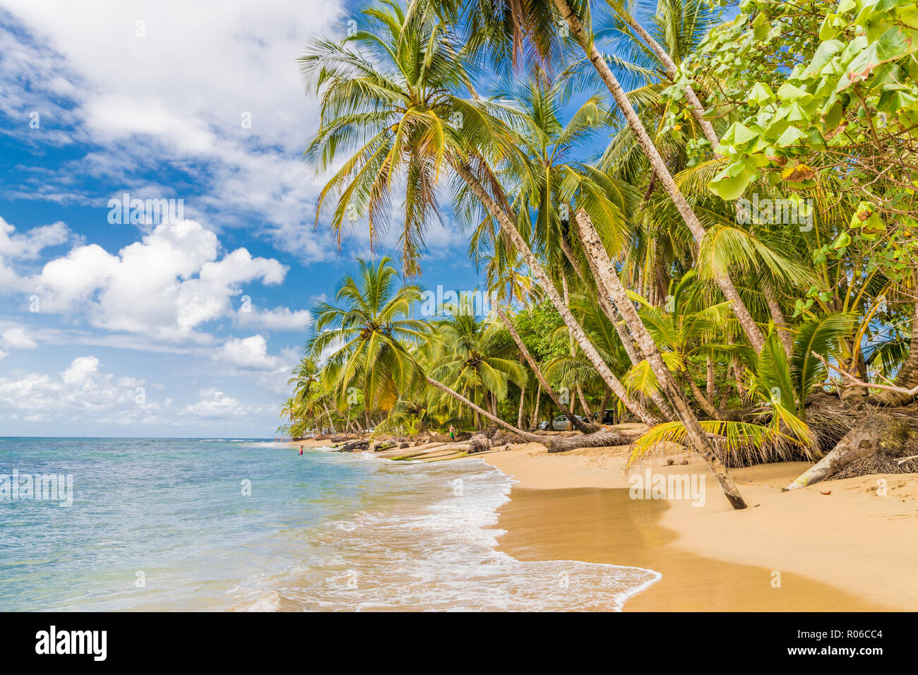 Punta Uva de Playa en Puerto Viejo, Limón, Costa Rica, Centroamérica