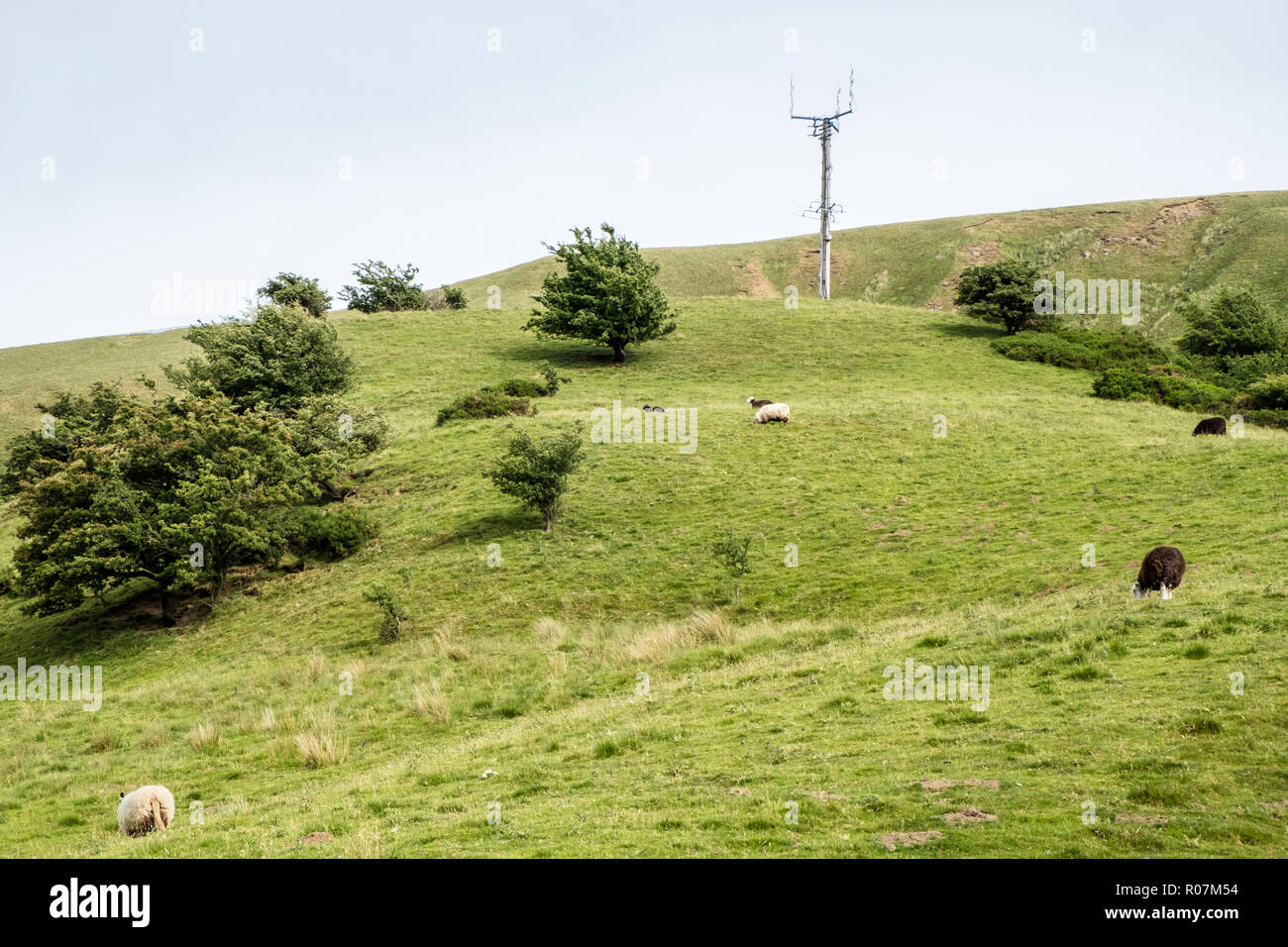 Telecomunicaciones autoportantes mástil en el campo, Vale de Edale, Derbyshire, Inglaterra, Reino Unido. Foto de stock
