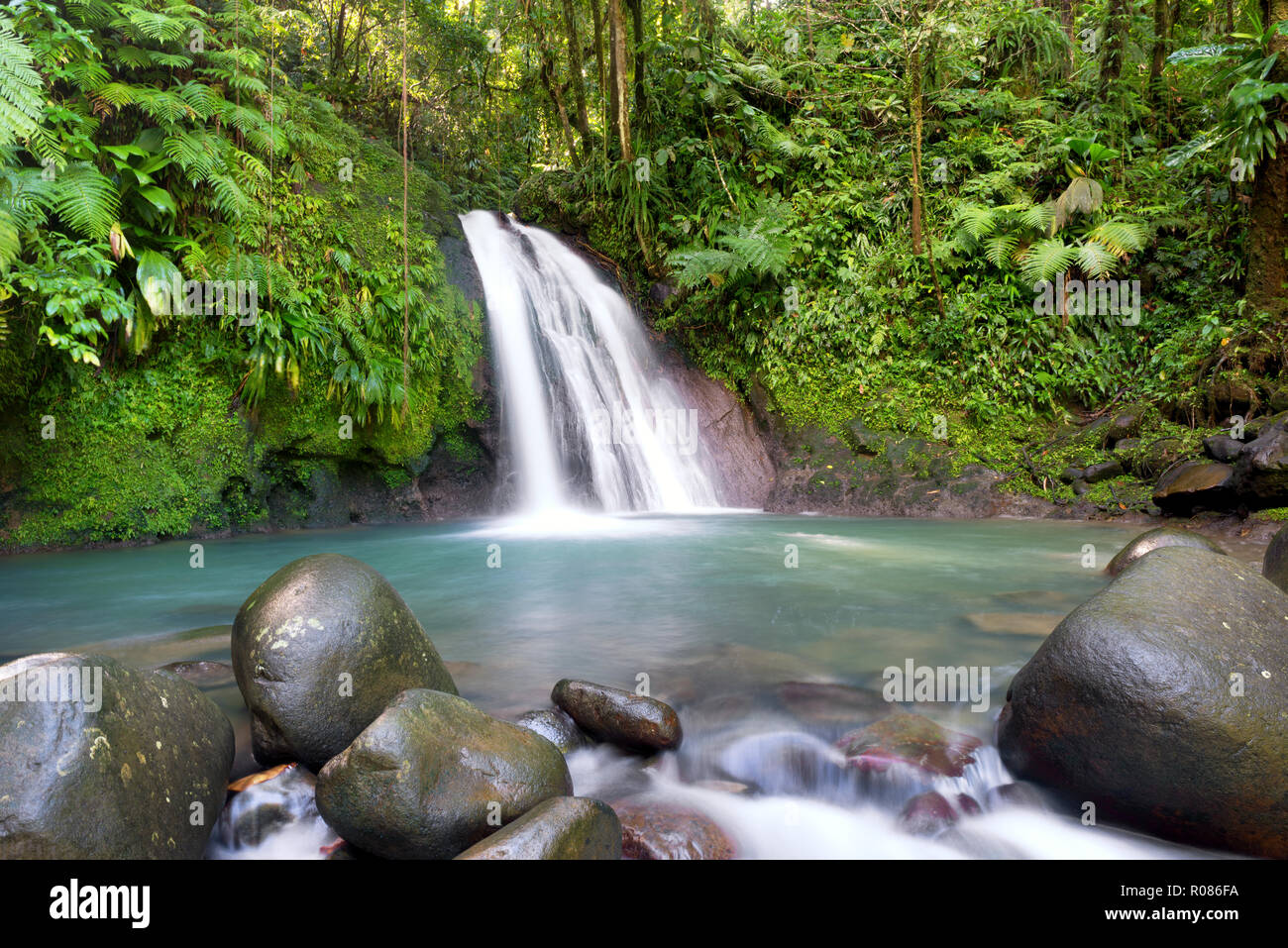 Sitio turístico más famoso en Guadalupe, Antillas Francesas, 'aux ecrevisses CASCADE (cascada) de cigalas. Foto de stock