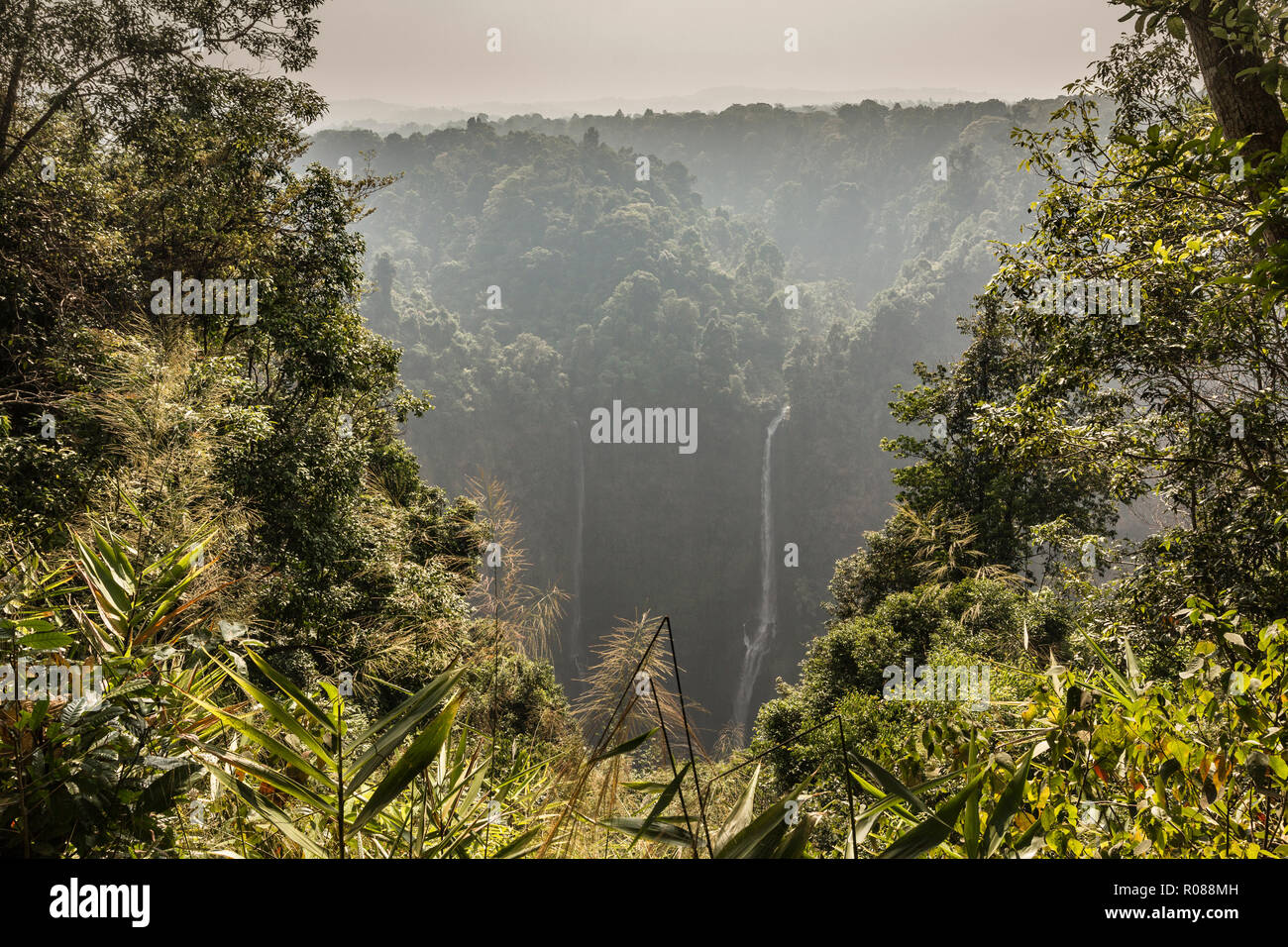 Tad Fane Cascada, Bolaven Plateau, Pakse, Laos. Foto de stock