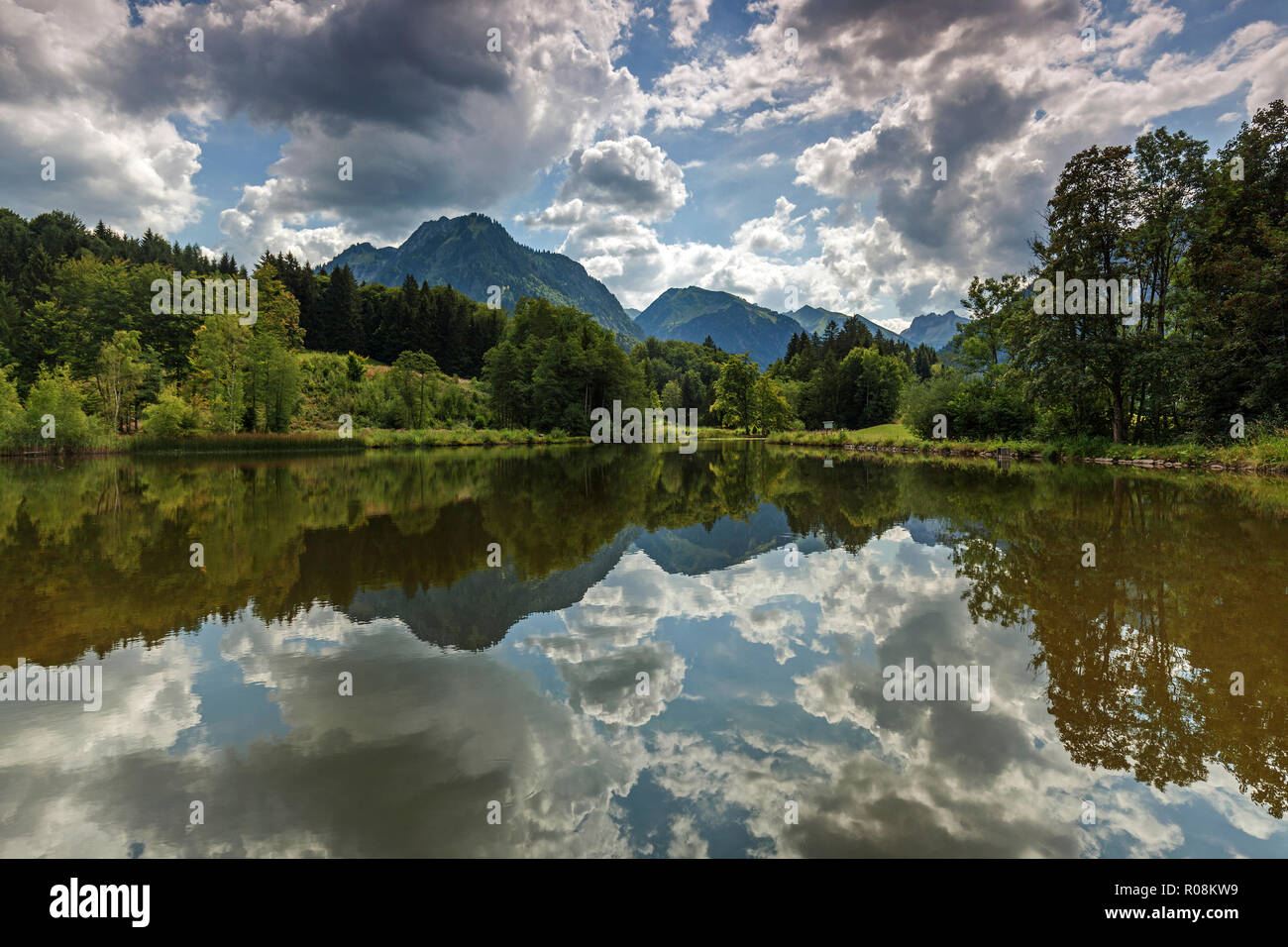 Moro, pantanos, estanques de agua, detrás de reflexión Alpes Allgäuer Oberstdorf, Oberallgäu, Allgäu, Baviera, Alemania Foto de stock