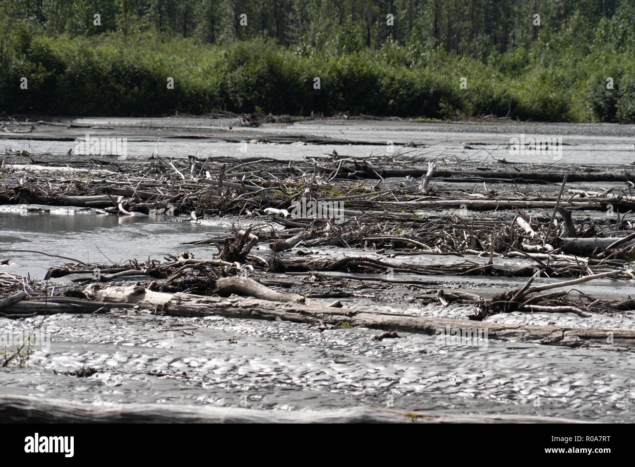 Driftwood, troncos, arena y lodo en el Lowe en Río Valdez Alaska a lo largo de la autopista Richardson Foto de stock