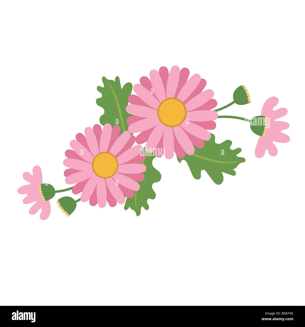 Naturaleza flor rosa Margarita, vector floral del jardín botánico de  plantas de hoja Imagen Vector de stock - Alamy