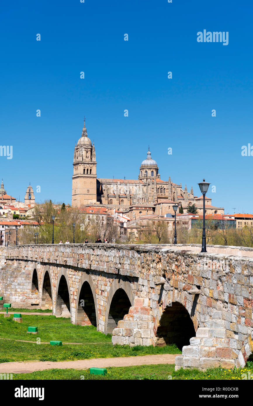El Puente Romano (Puente Romano) y vista hacia el casco antiguo y las catedrales, Salamanca, Castilla y León, España Foto de stock