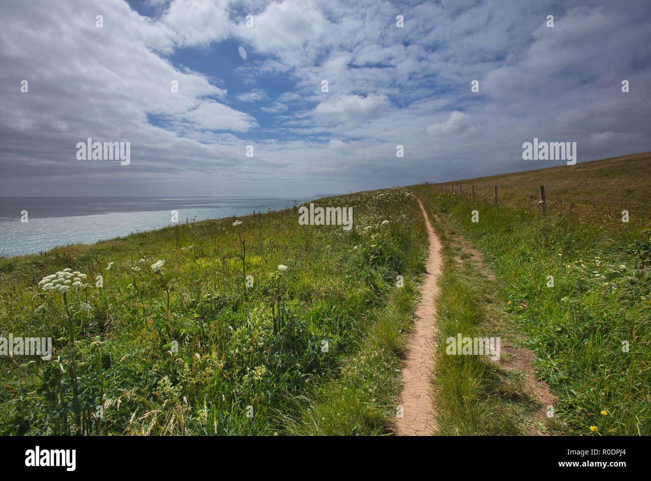 Las vistas de la bahía desde el inicio de la ruta de la costa suroeste, Devon, Inglaterra. Foto de stock