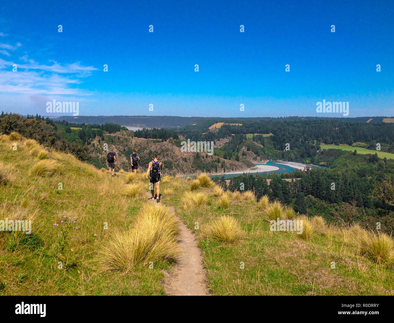 Pintoresco Rakaia Gorge y Rakaia River, en la Isla del Sur de Nueva Zelanda Foto de stock