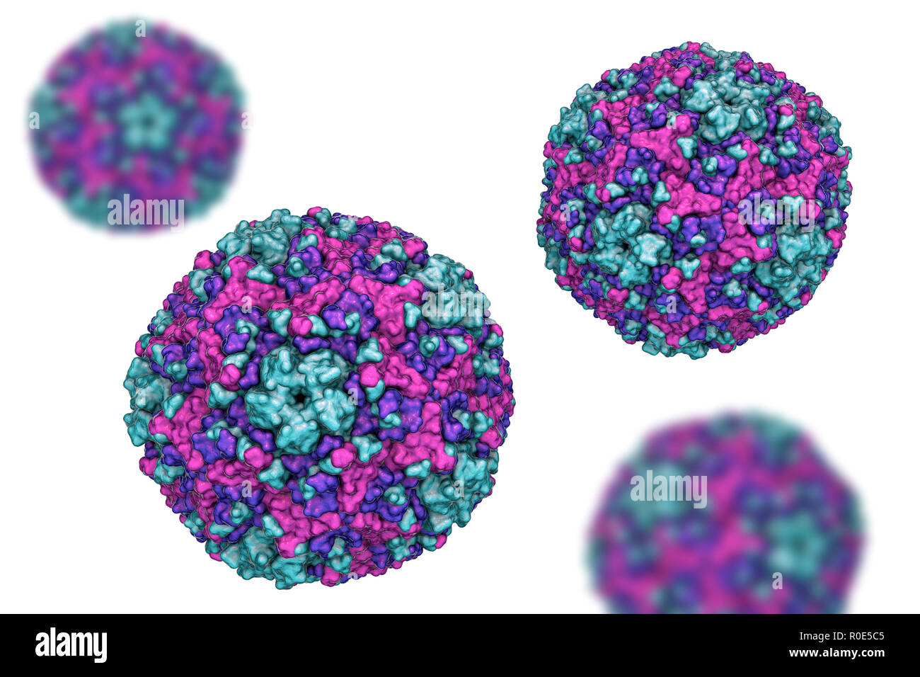 Coxsackie viruses fotografías e imágenes de alta resolución Alamy