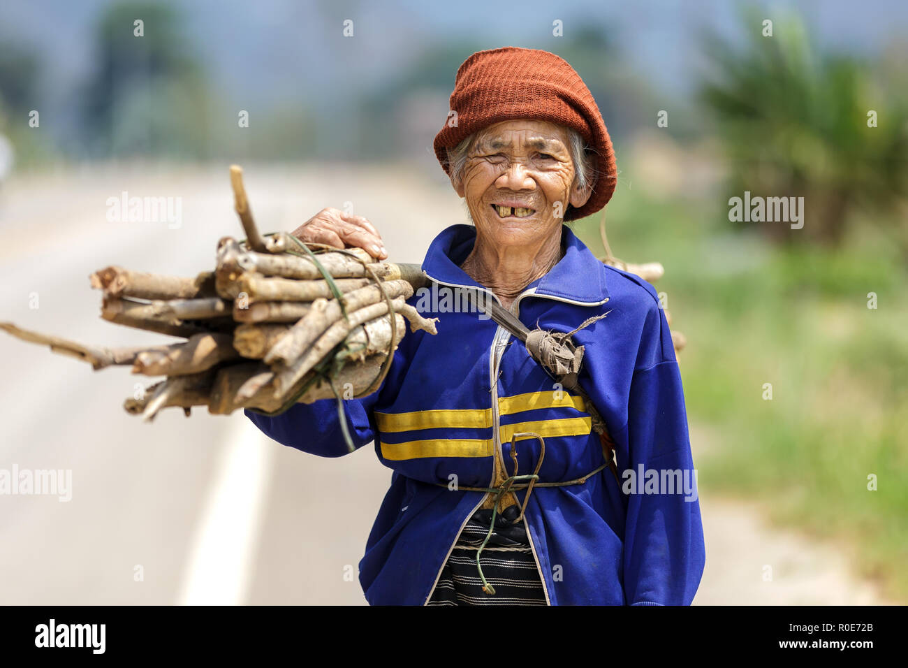 FU CHI FA, Tailandia, marzo 4, 2011: una mujer mayor agricultor está llevando un palo bunch en el campo de Fu chi fa, al norte de Tailandia Foto de stock
