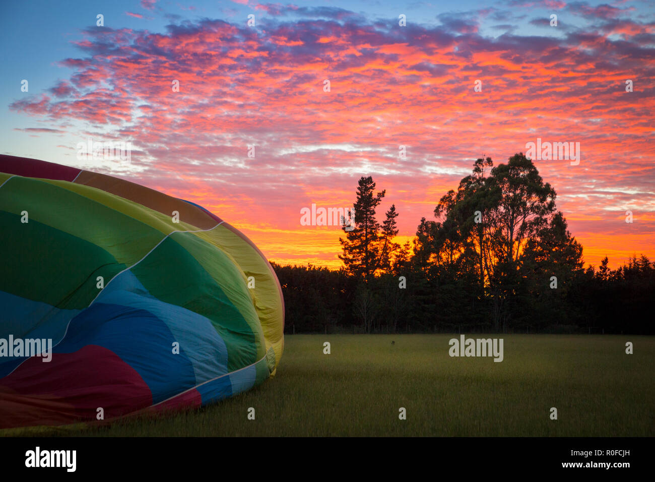 El colorido se infla un globo de aire caliente en un campo bajo un hermoso amanecer temprano en Canterbury, Nueva Zelanda Foto de stock