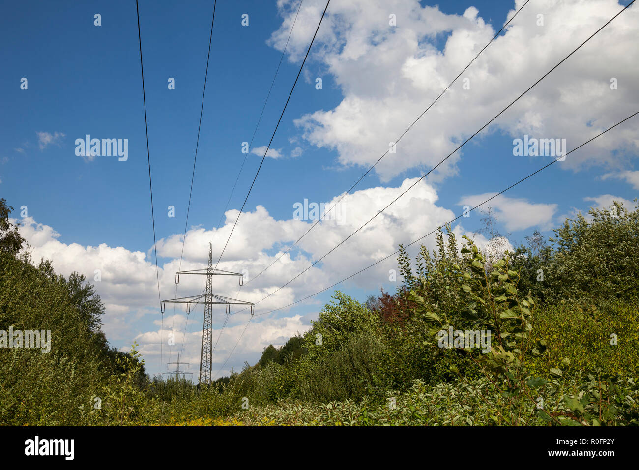 Polo de alta tensión con cable eléctrico, Renania del Norte-Westfalia, Alemania, Europa Foto de stock
