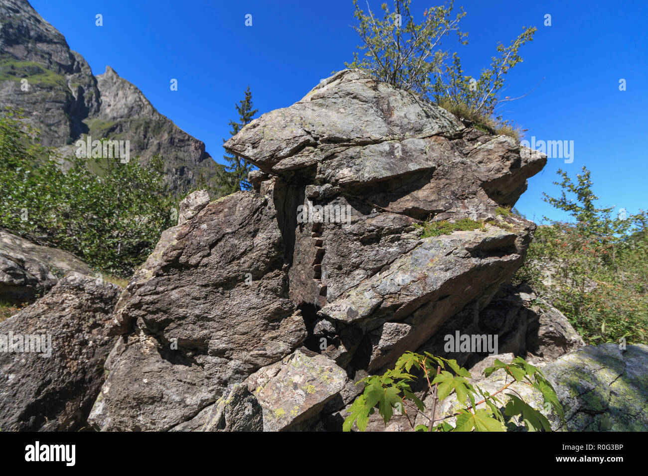 Ilusión óptica en las rocas. Cara de perro Foto de stock