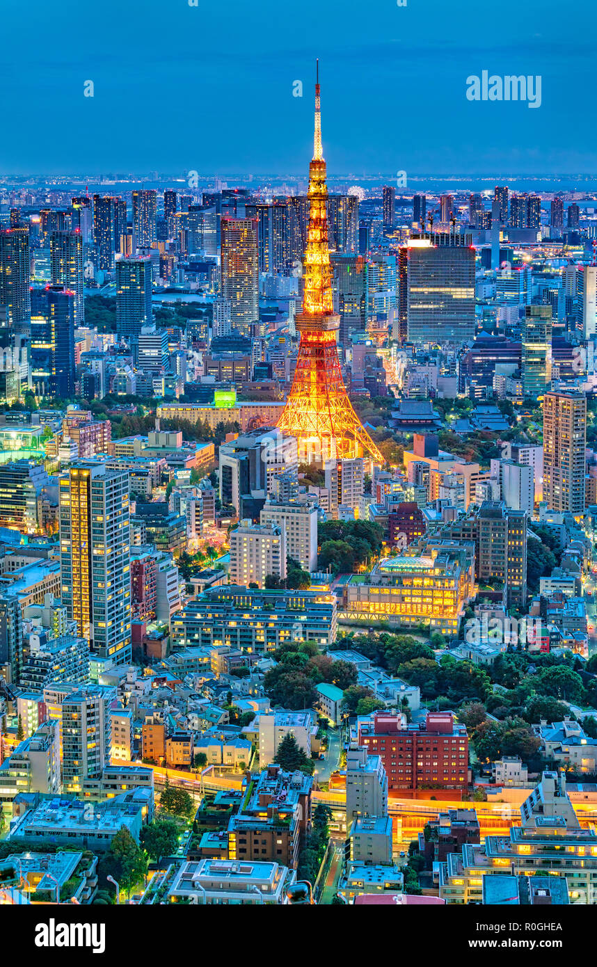 Horizonte de Tokio con la Torre de Tokio por la noche Foto de stock