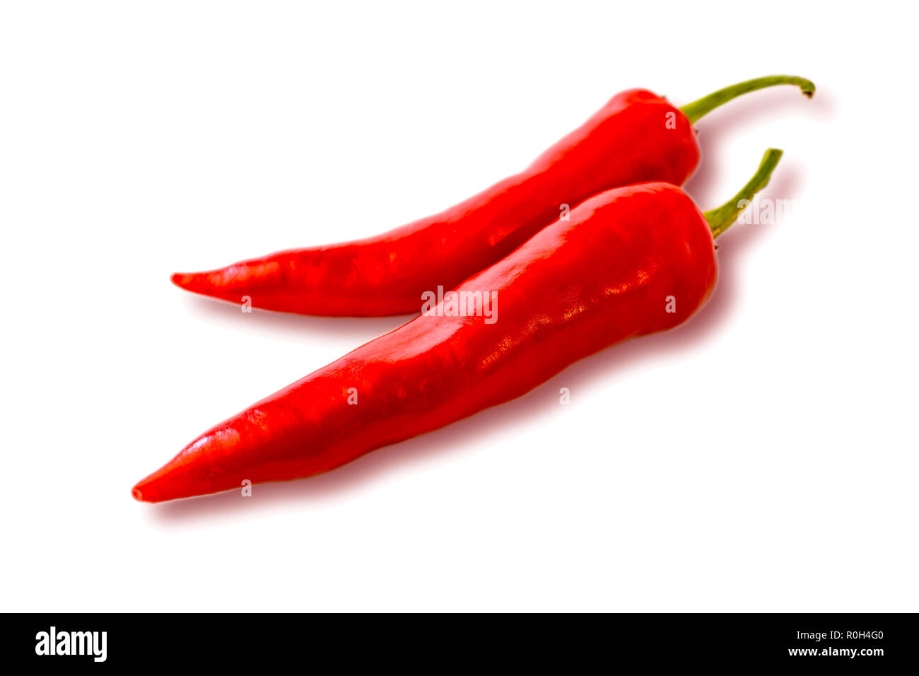 Dos Red Hot chilly pepper sobre el fondo blanco. Especias frescas Foto de stock
