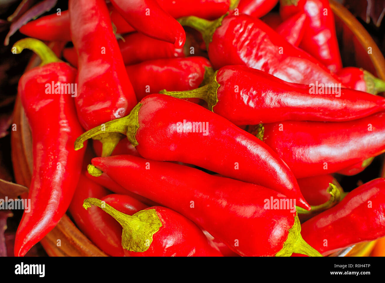 Red hot chili pepper de fondo. Organic pimiento picante. Especias frescas Foto de stock