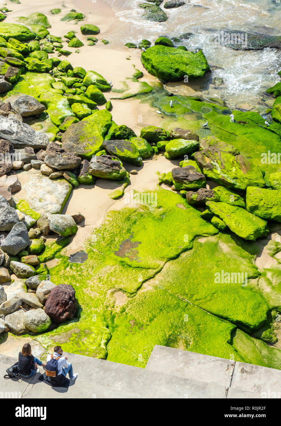 Pareja Sentada por rocas cubiertas de algas en el extremo sur de la playa de Bondi, Sydney, NSW, Australia. Foto de stock