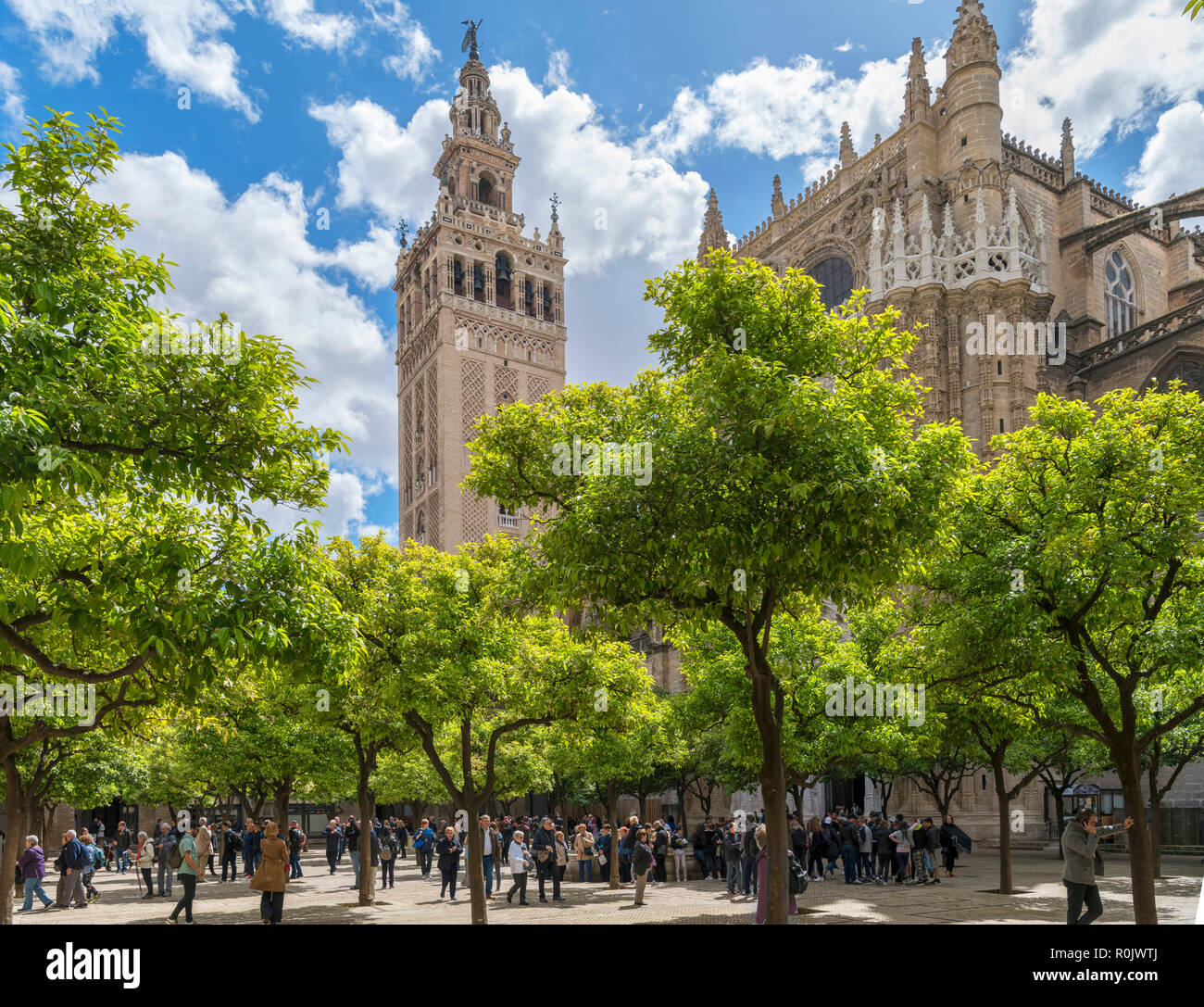 La Giralda y la catedral desde el Patio de los Naranjos, Sevilla, Andalucía, España. Foto de stock