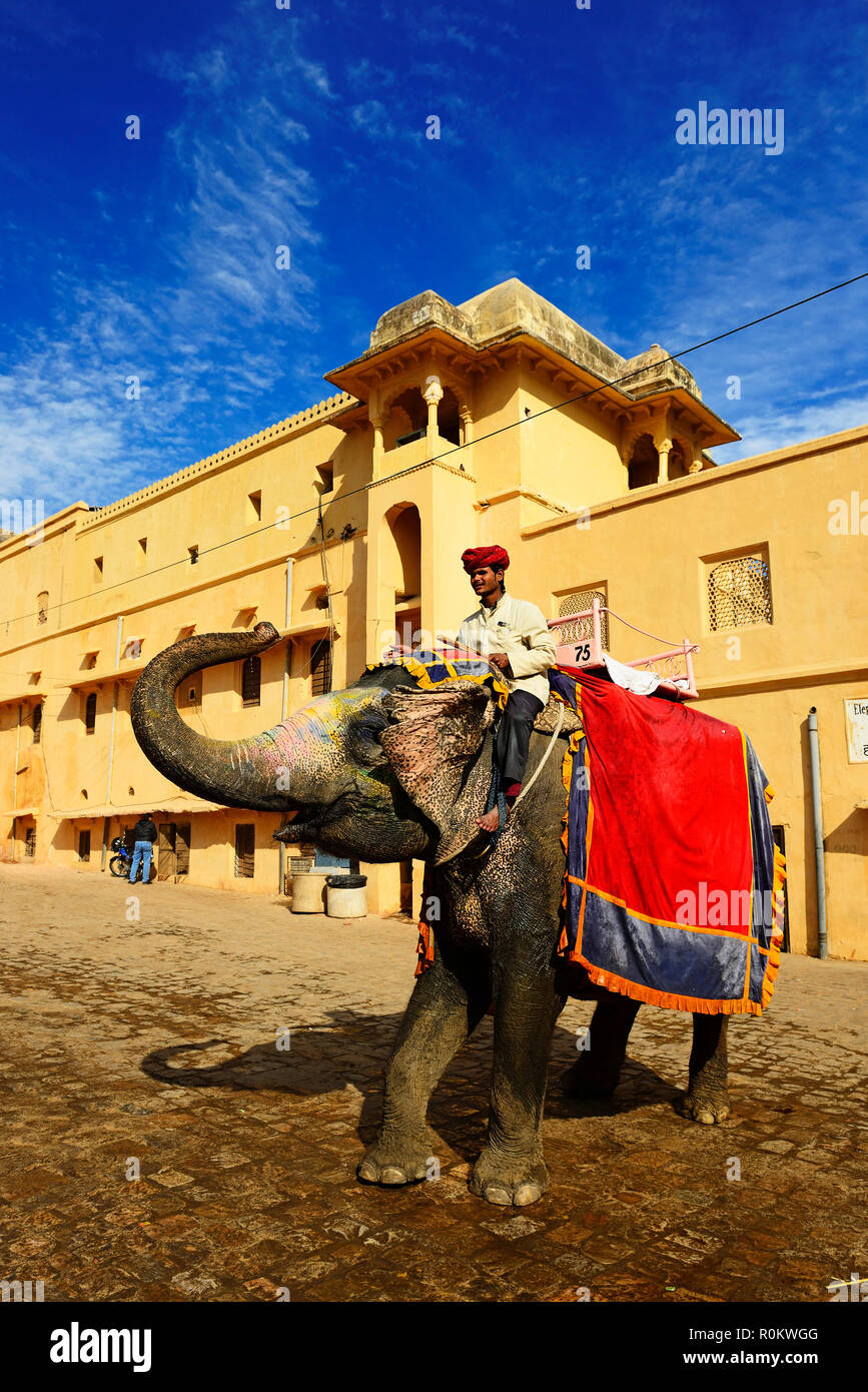 Decoradas y pintadas elefante en Fuerte Amber, Jaipur, Rajasthan, India Foto de stock