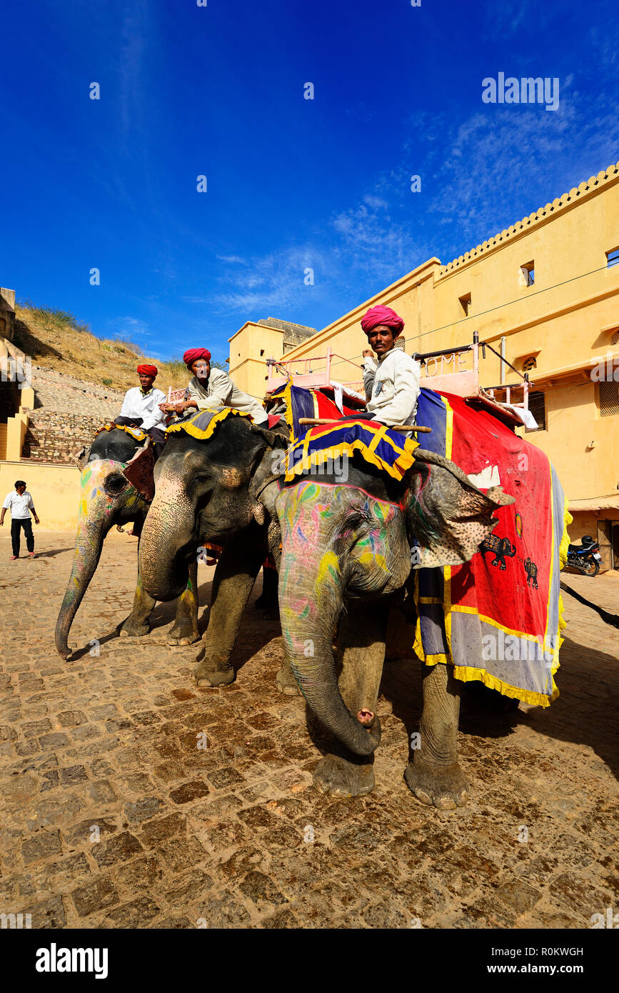 Decoradas y pintadas elefantes en Fuerte Amber, Jaipur, Rajasthan, India Foto de stock