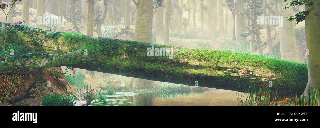 Árbol caído, puente natural en el bosque mágico, hermoso paisaje boscoso de fantasía Foto de stock