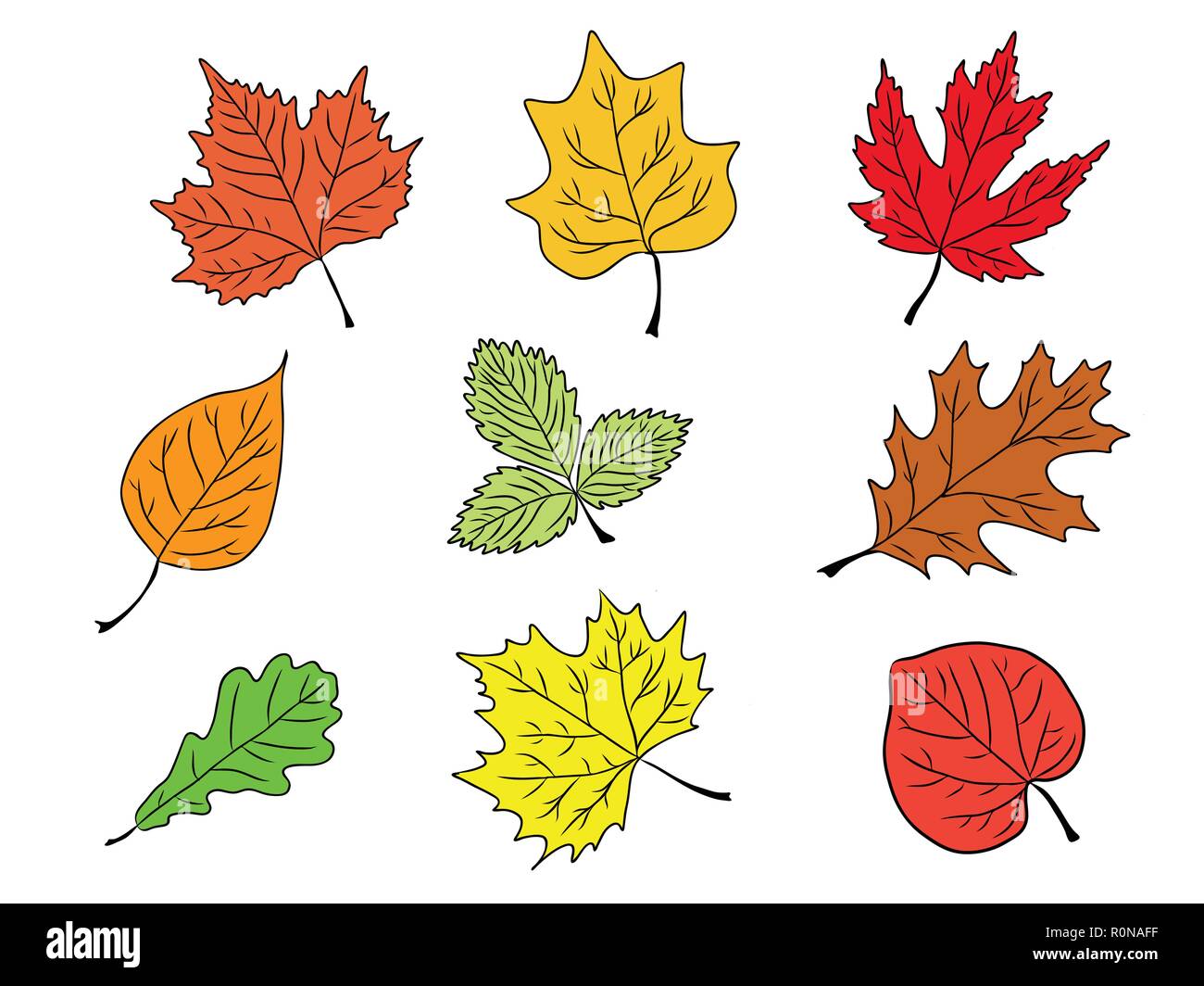 Conjunto de hojas de árbol colorida silueta, icono, logo, otoño cartel,  ilustración vectorial. 8 EPS Imagen Vector de stock - Alamy