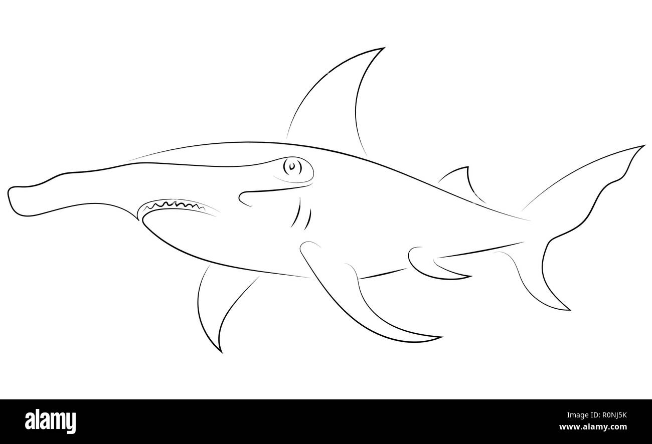 Línea negra tiburones martillo en fondo blanco. Dibujo a mano v Imagen  Vector de stock - Alamy