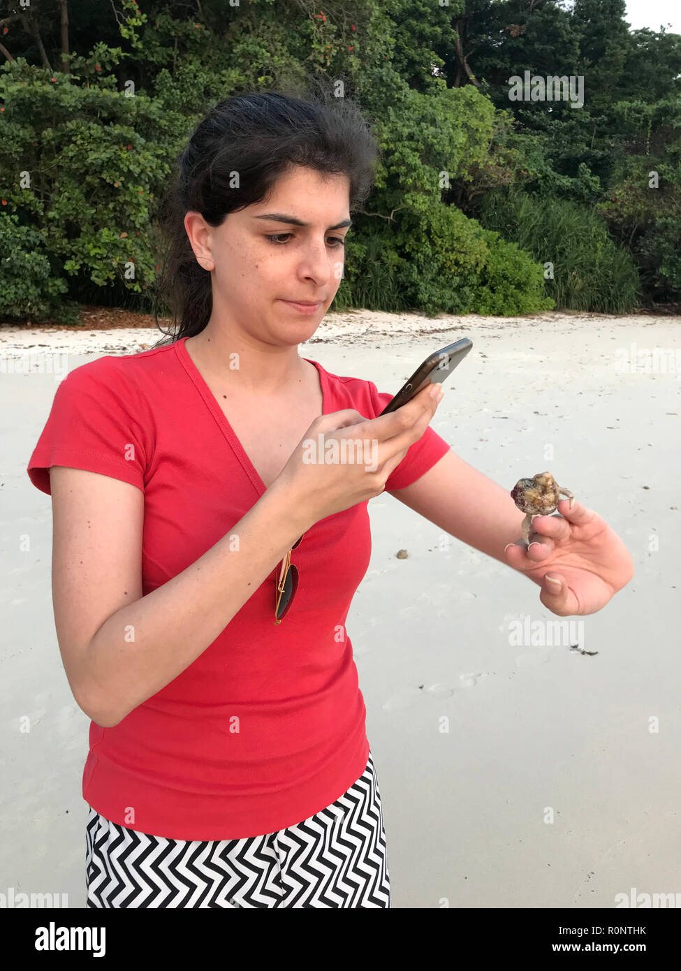 Mujer de pie en la playa fotografiando un cangrejo ermitaño en su mano, las Islas Andamán, India Foto de stock