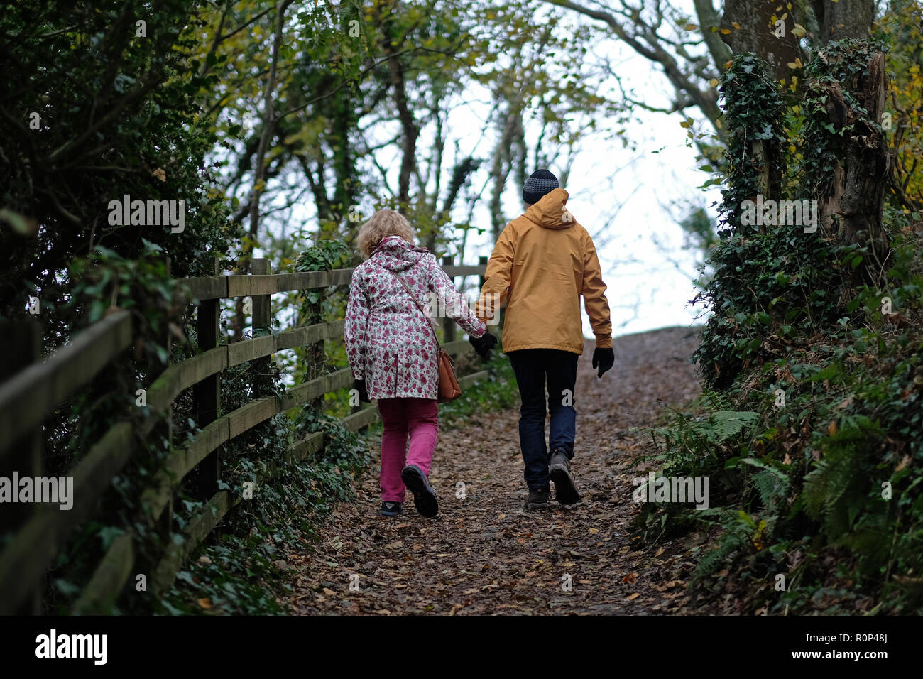 Dos personas caminando en el campo de Cornualles. Foto de stock