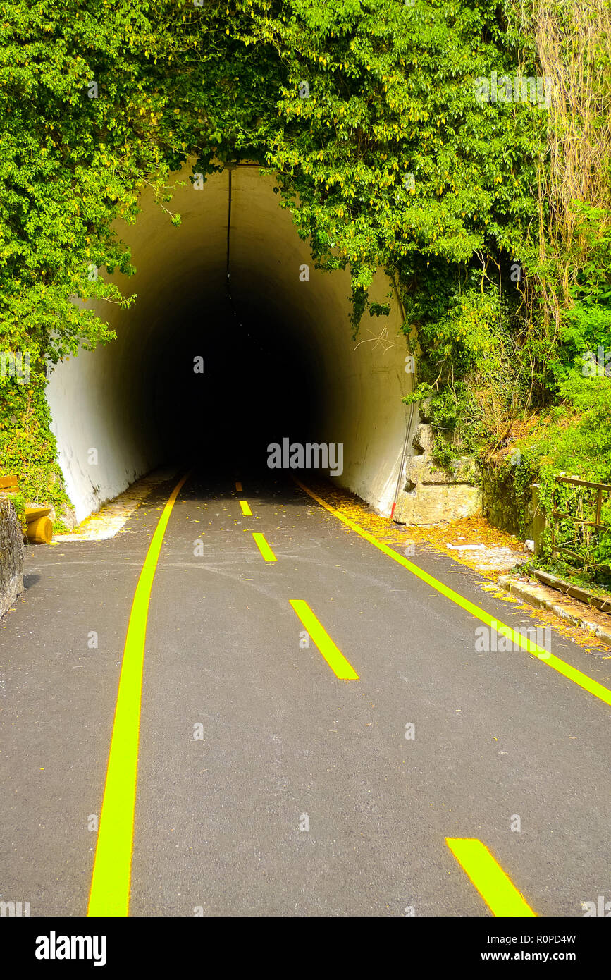 La Ciclovia Alpe Adria Radweg carril bici enetering uno de los numerosos túneles de la ruta, Canal del Ferro valle, Udine, Friuli Venezia-Giulia, Italia Foto de stock