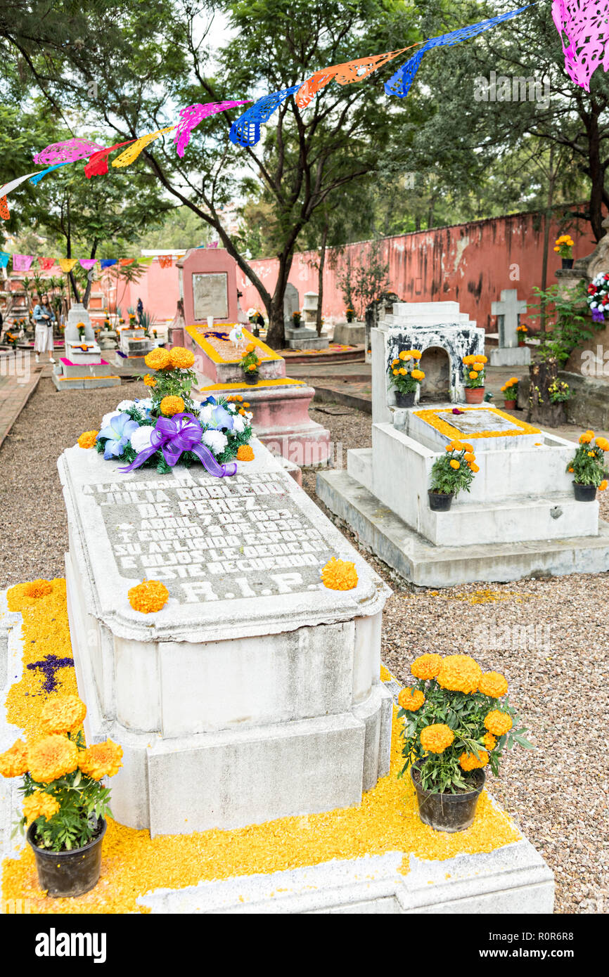 Inútil fluir rosado Una tumba decorada por los muertos de los muertos durante el dia de Muertos  festival en el antiguo cementerio de San Juan de Dios en San Miguel de  Allende, México. El multi-días
