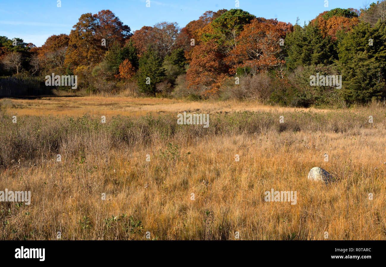 Otoño Marsh - Crowe's pasto en Dennis, Massachusetts, EE.UU. en Cape Cod Foto de stock