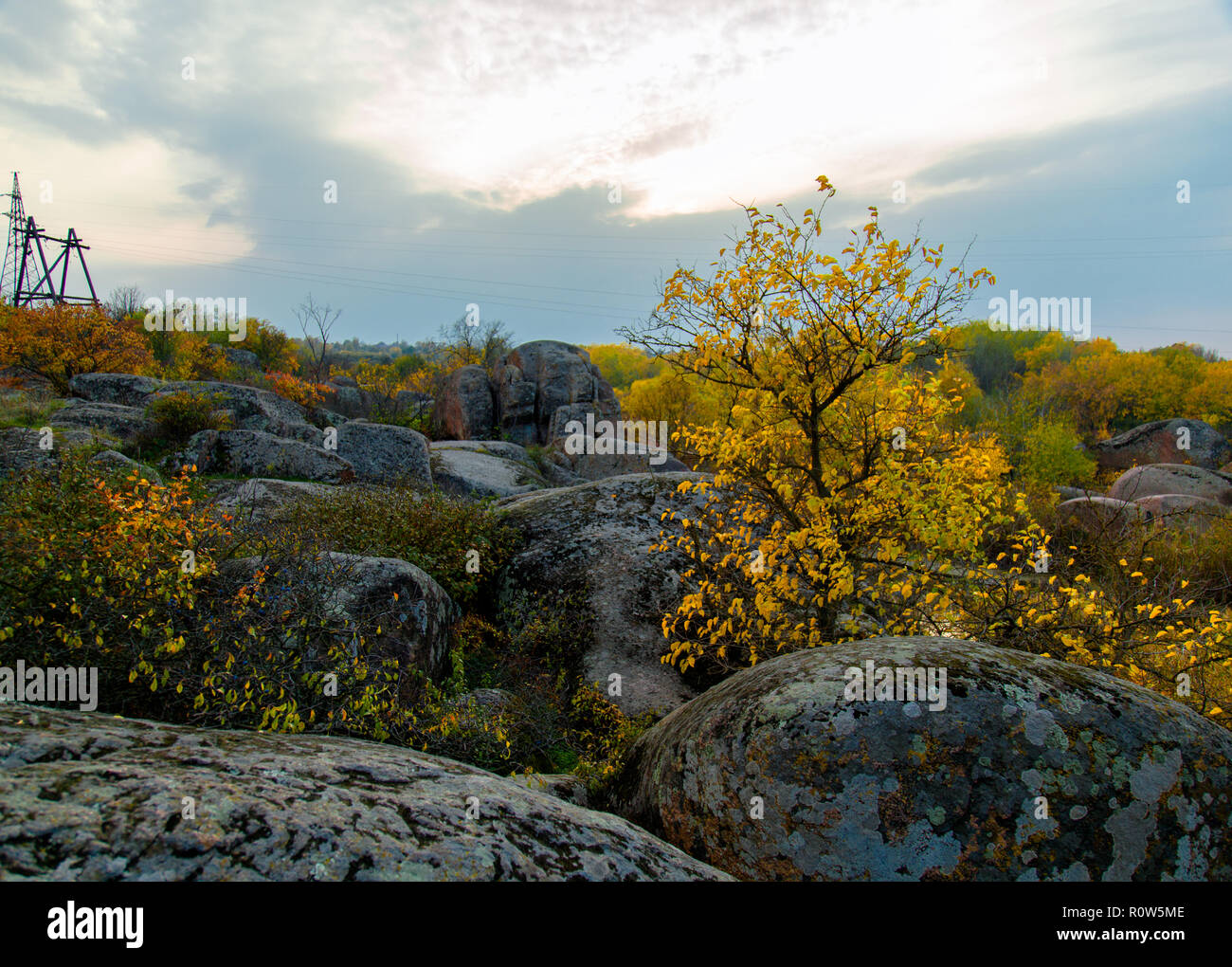 La calma de un remanso del Río Amarillo rodeado de árboles en otoño Foto de stock