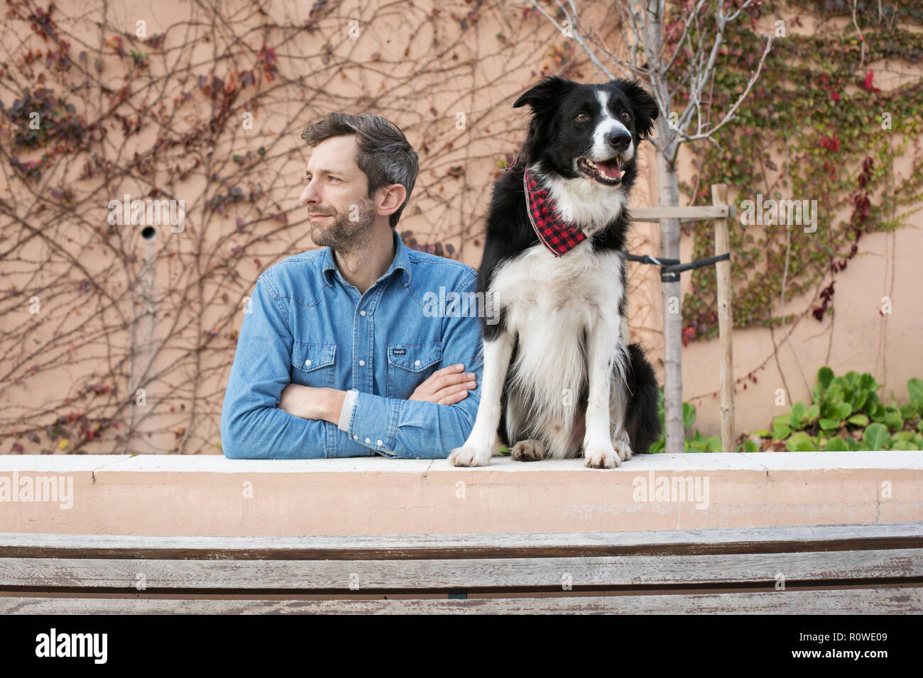 Retrato de diseñador gráfico Andrew Knapp con su perro Momo, un Border  Collie, con una parada en Lisboa, mientras viajan a través de Europa  Fotografía de stock - Alamy