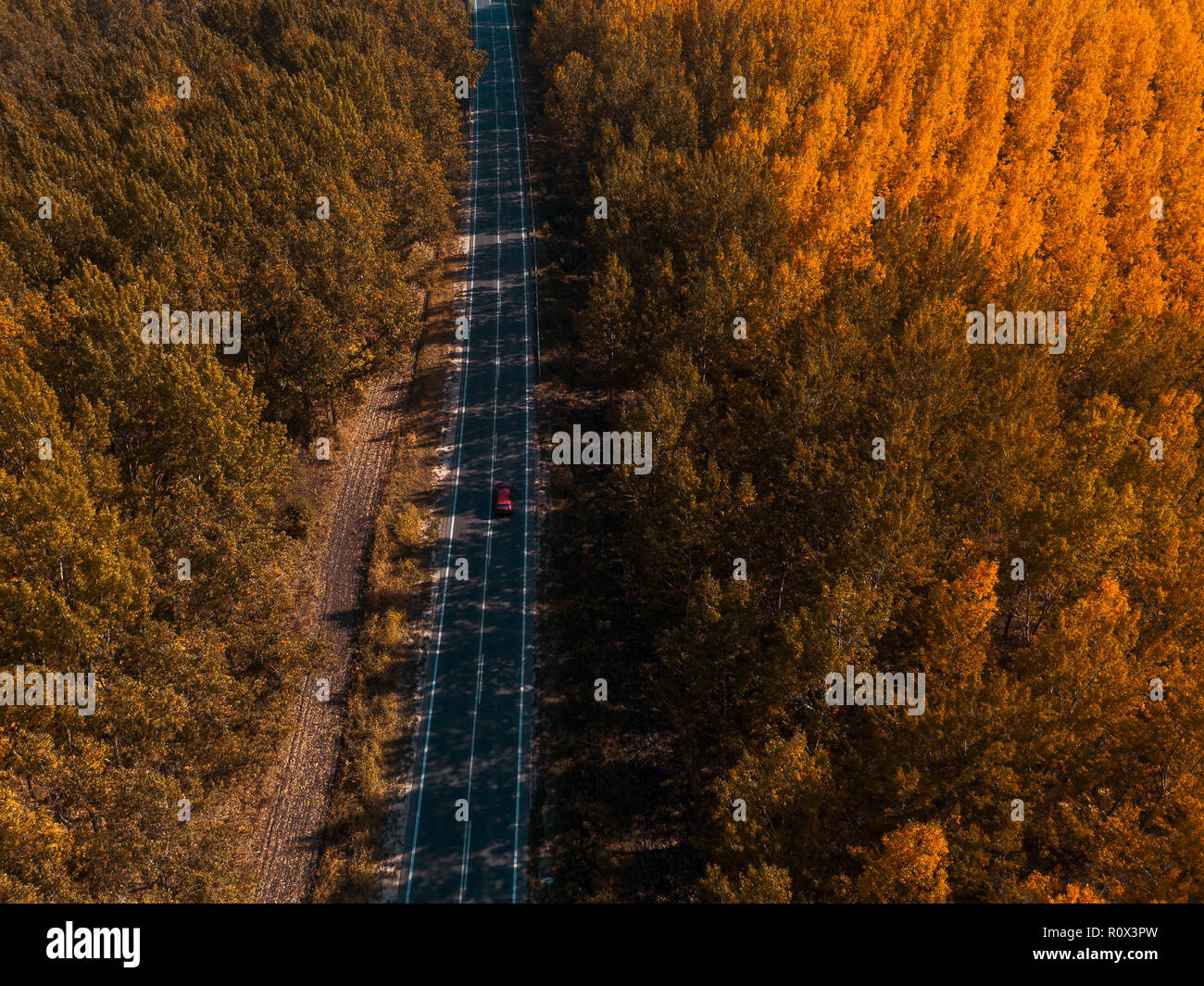 Vista aérea del coche en el camino a través del bosque en otoño, drone punto de vista directamente encima Foto de stock
