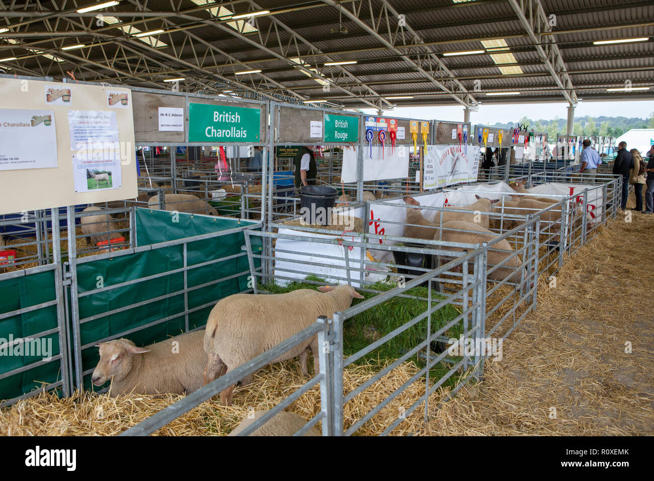 Vista de los corrales de ovejas en el gran show de Yorkshire Foto de stock