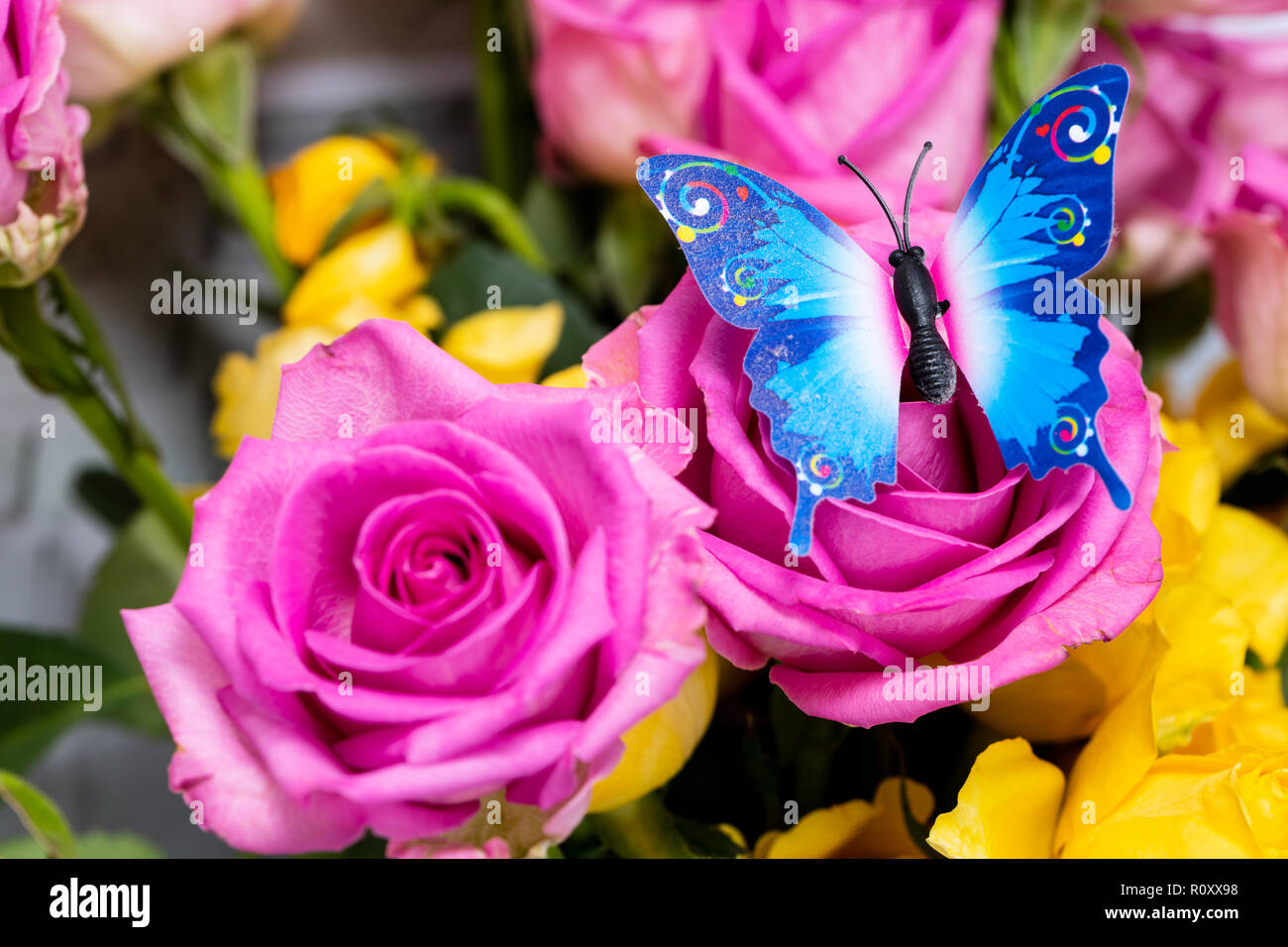 Sobre mariposas coloridas flores rosas Fotografía de stock - Alamy